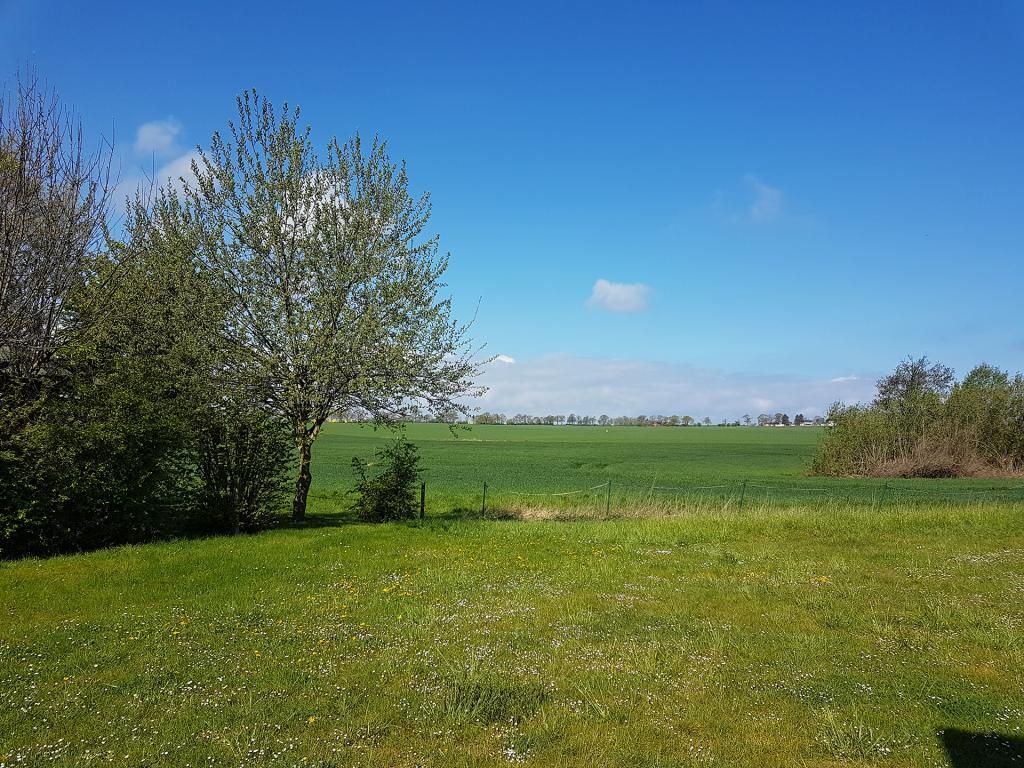 Dorow - Blick von der Terrasse in die Natur
