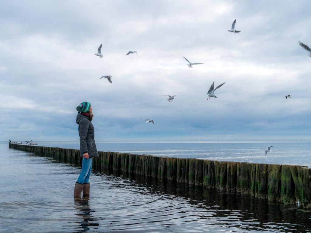 Ostseebad Boltenhagen Buhnen im OT Redewisch
