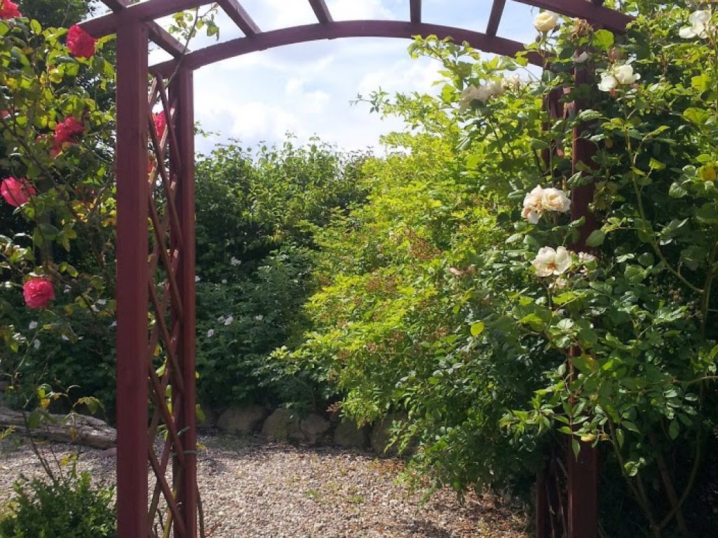 Rotes Haus am Meer - Blick auf den Rosenbogen zu Terrasse