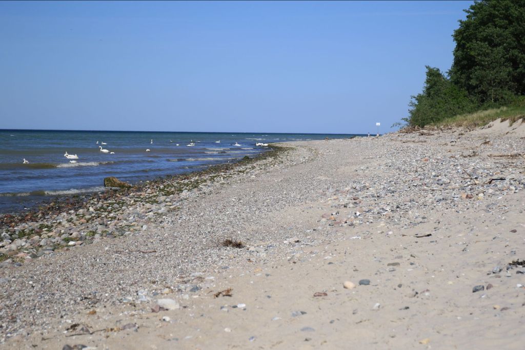 Groß Schwansee - Blick auf den wunderschönen Naturstrand