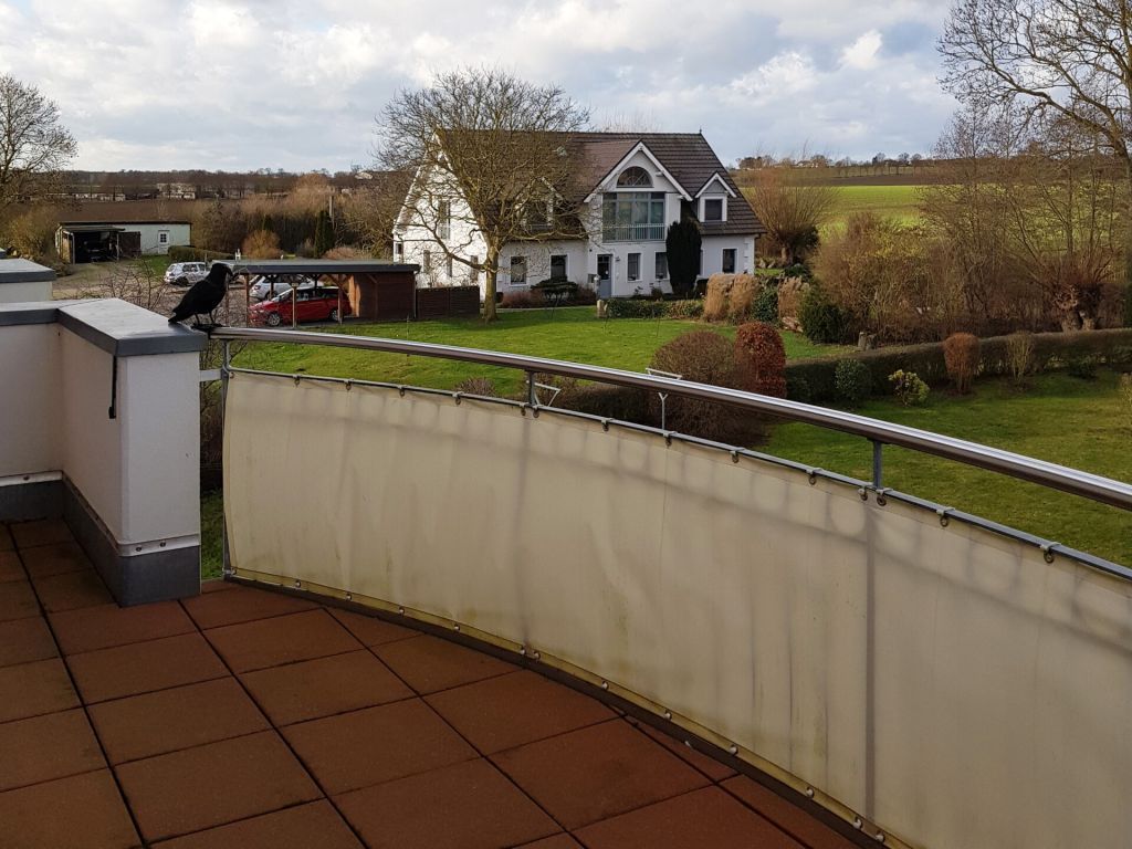 Achtern Diek Whg. 22 - Blick vom Balkon ins Grüne