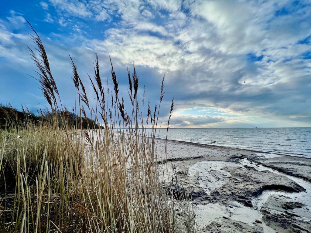 Sonnenliebe - Blick auf den unglaublich schönen Naturstrand