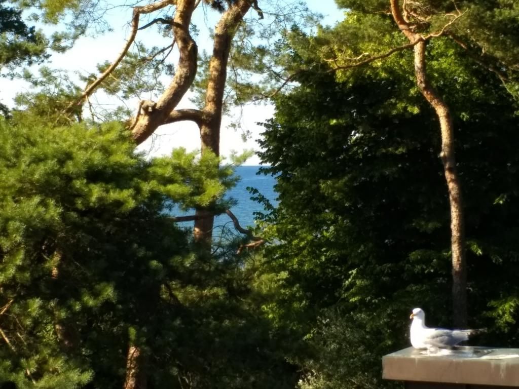 Deutsches Haus Whg. DH8 - Blick auf die Ostsee