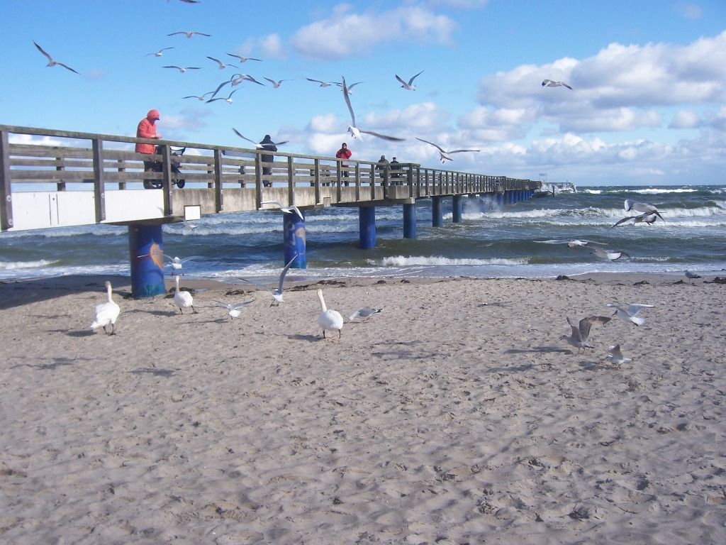 Seebrücke