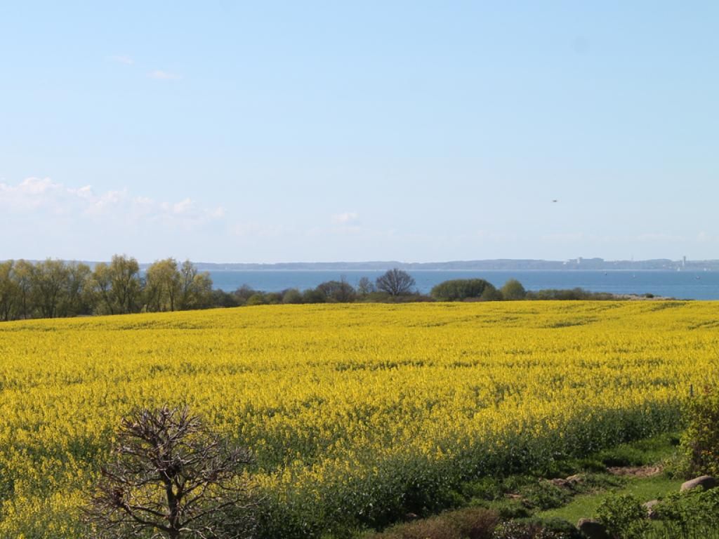 Ostseeblick 03 - Blick vom Balkon auf die Ostsee